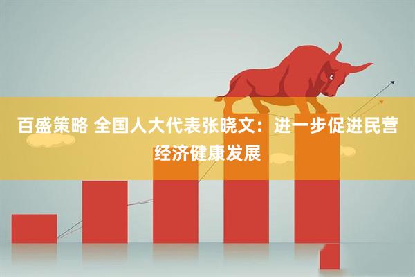 百盛策略 全国人大代表张晓文：进一步促进民营经济健康发展